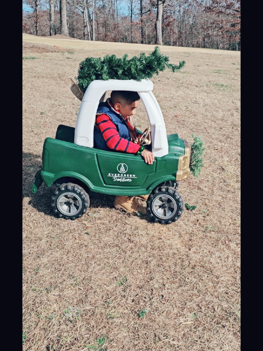 Day 🌟 8 Christmas tree farm!!! #creatorsearchinsights #25daysofchristmas #fypシ゚viral #fypシ #fyp #christmasactivities #christmaswithkids #momofboys #momof5 #familyof7 #boymom #Christmas #Christmas2024 #christmastreefarm  #Christmastree #familytime #25diasdenavidad #hotcocoa #smores  #hotchocolate #farm 