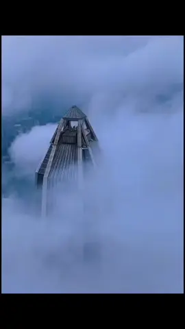 The tallest building in Shenzhen! The Ping An Finance Center stands at 599.1 meters, with 123 floors and a total investment of over 20 bln yuan ($2.7 bln). It’s the second tallest building in China and the fifth tallest in the world. #Architecture #Shenzhen #TallestBuildings