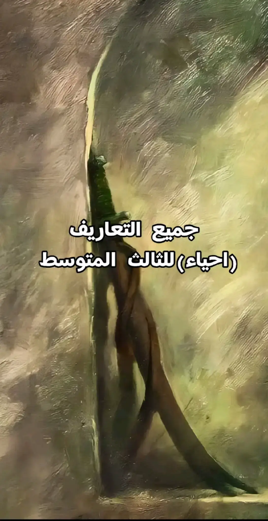 جميع تعاريف لحياء لمهمه في وزاري#foryou #ترند #متابعه #اكسبلورexplore #اكسبلور #جديده_في_تيك_توك #ايليا_ابوماضي #معروف_الرصافي #ابو_قاسم_الشابي 