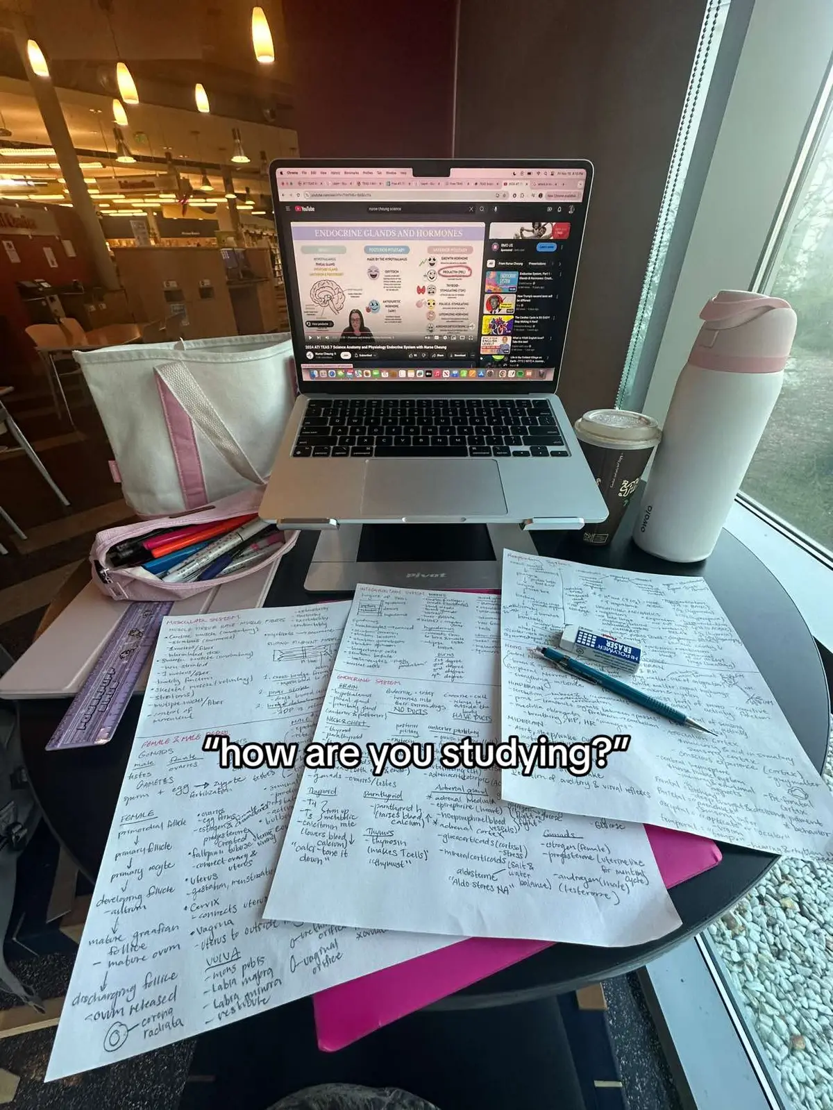 stay tuned 🥰 #fyp #foryou #finalsweek #academicvictim #womaninstem #studytok 