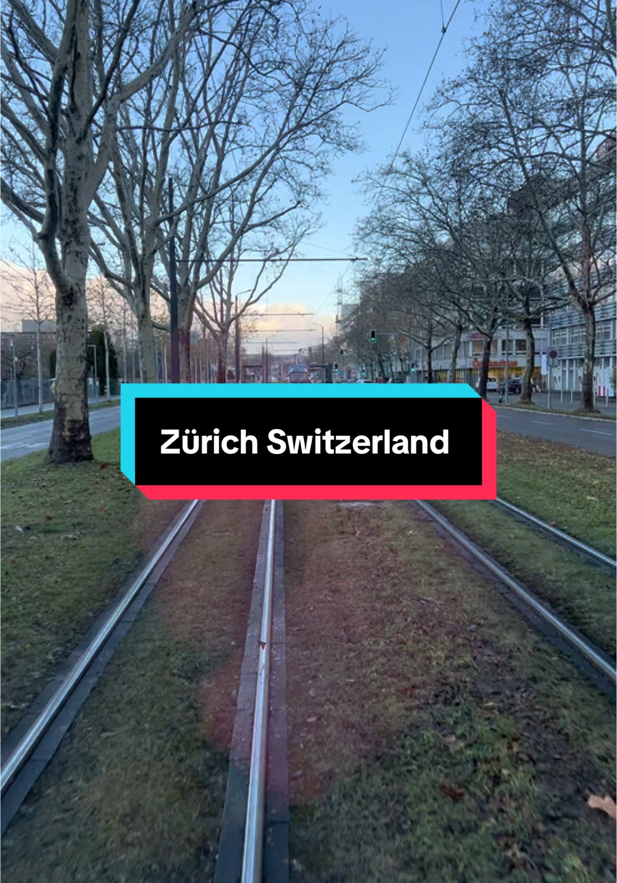 #switzerland🇨🇭 #zurich🇨🇭switzerland #tripdec2024 