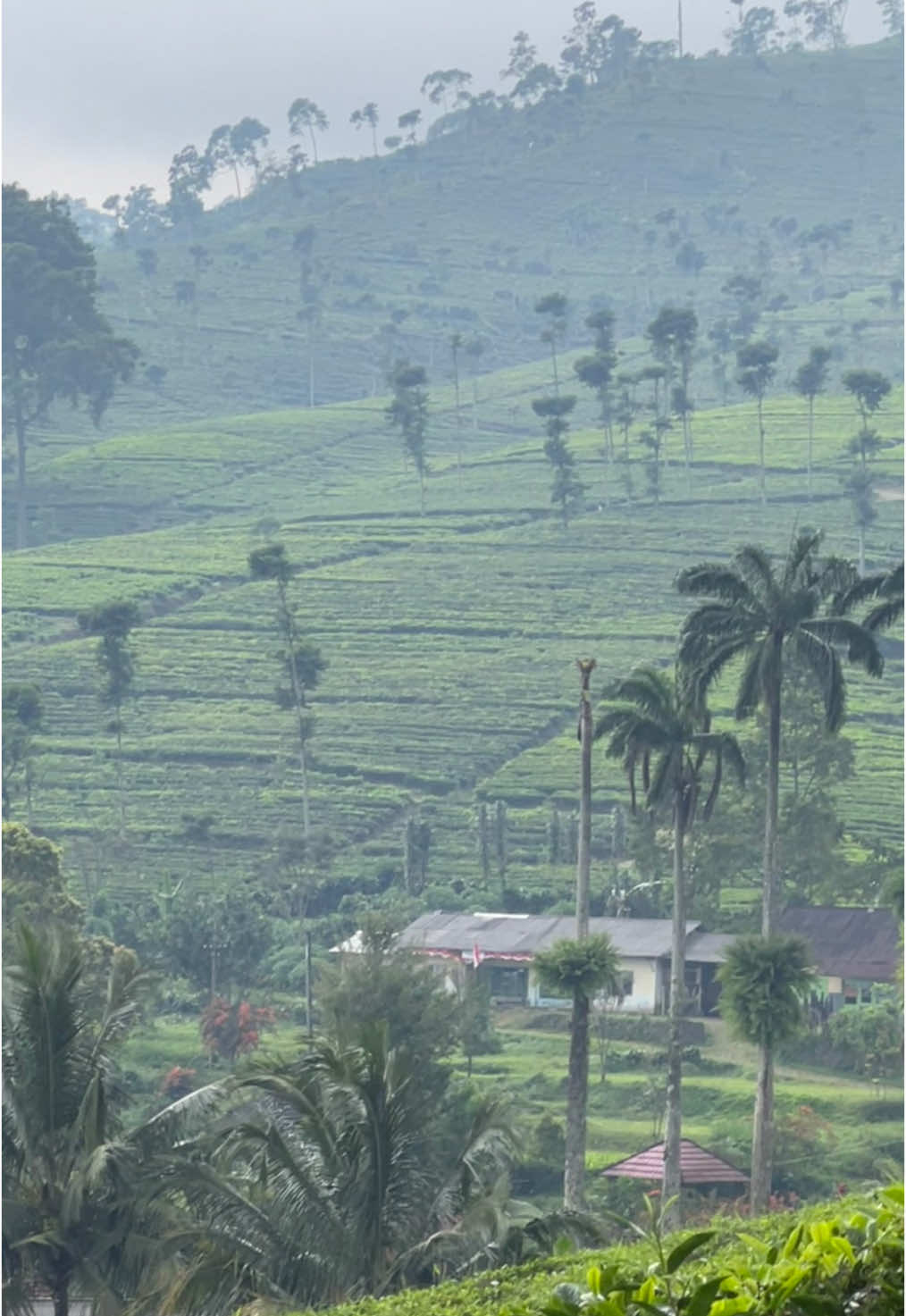 gausah jauh’ ke gunung cilik😋