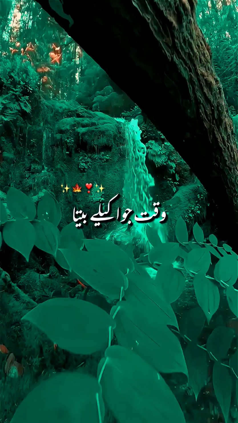 waqat Jo akly bety#song #romanticsong #foryou #foryoupage #standkashmir #magicanimation #viral #fyp 