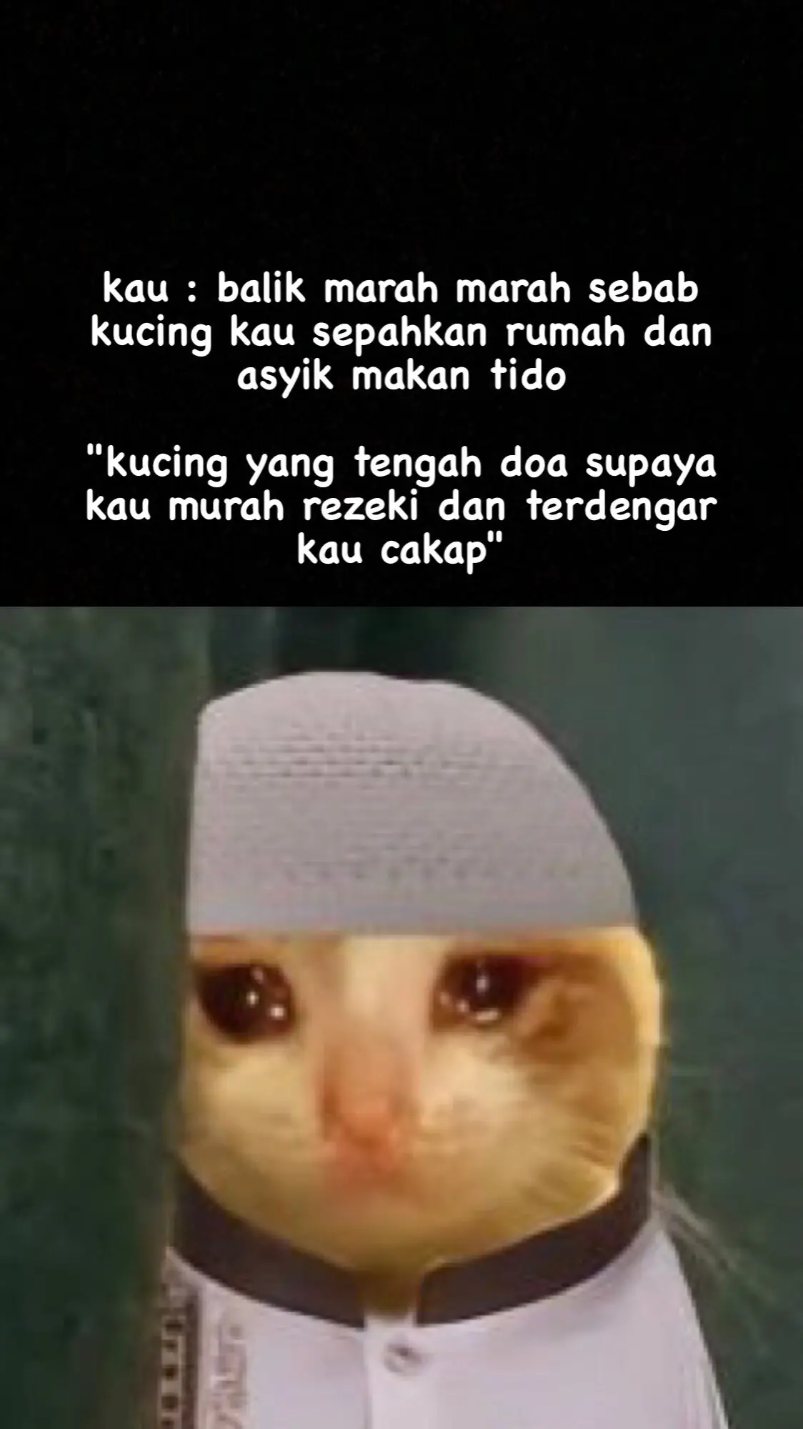 #fyp #fypage #foryou #foryoupage #fypシ゚ #fyppppppppppppppppppppppp #kucing #sadcat #trend #tiktok #fyptiktok #viralvideo 