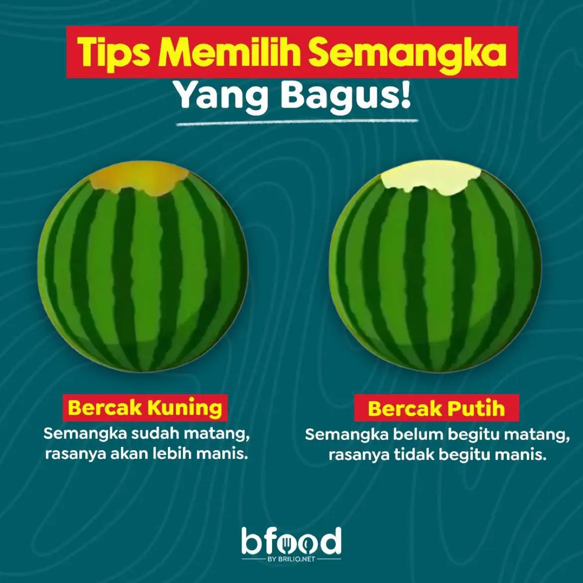 Tips memilih semangka manis cari yang berbentuk bulat dengan bagian kuning cerah. Uniknya, semangka juga bisa dikategorikan berdasarkan 