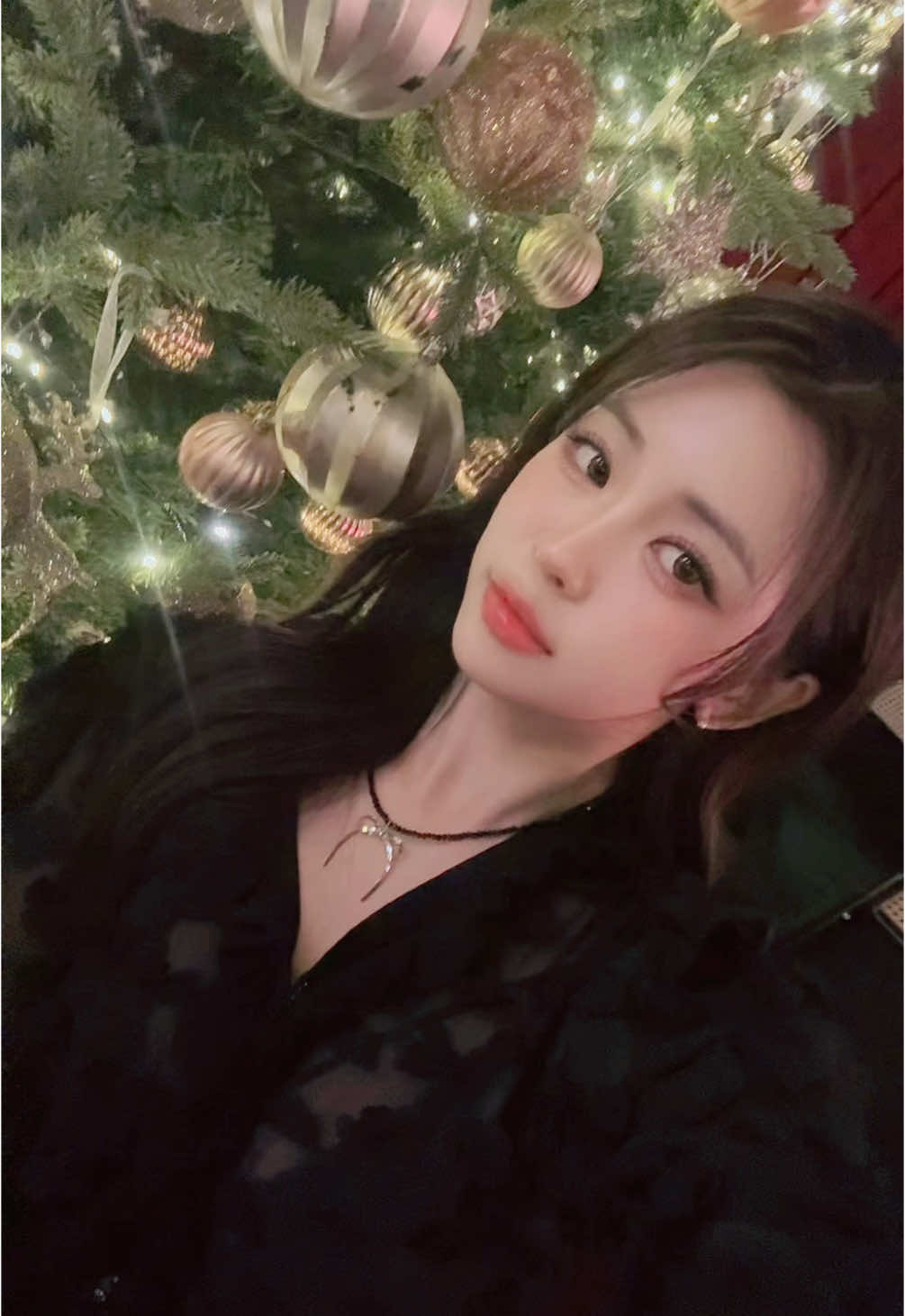 🎄✨