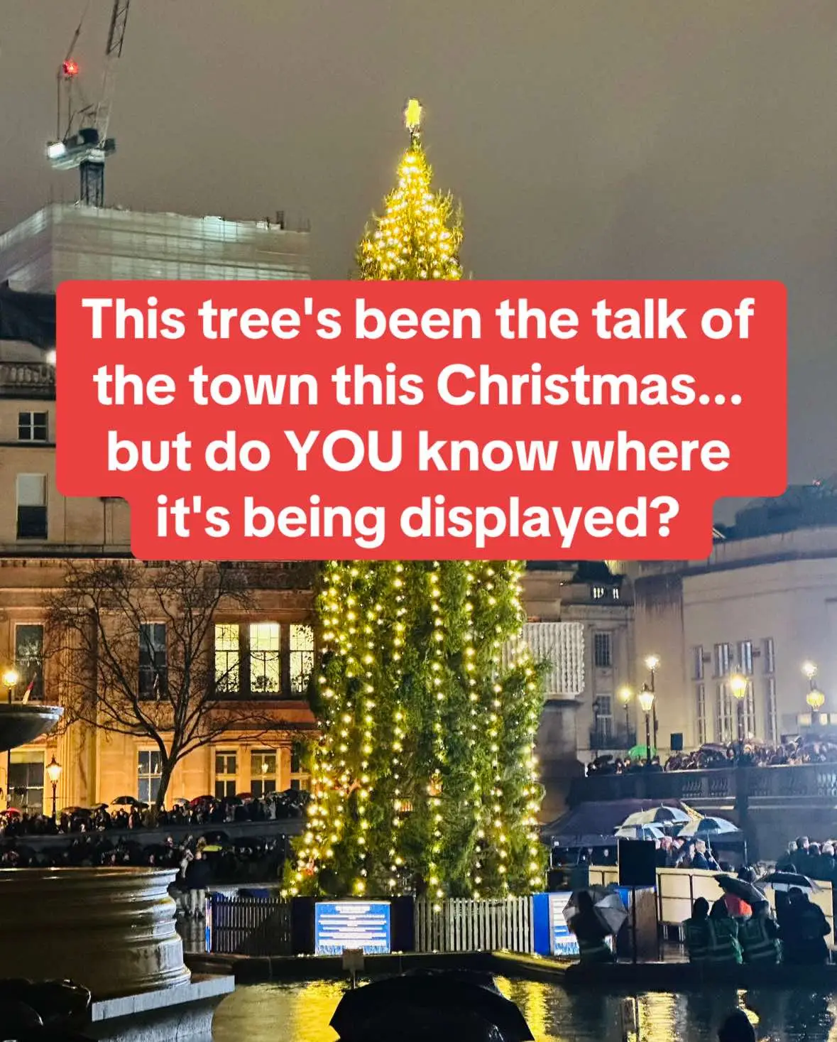 Anyone who gets it right might just earn the ultimate prize… bragging rights AND a like from the internet! 😜✨ #C#ChristmasTreeH#HolidayQuizG#GuessThePlaceT#TrafalgarSquareL#LondonChristmasF#FunnyTree#C#ChristmasTraditionW#WhereAmIH#HolidayFunR#RoastedTreeC#ControversialTreeC#ChristmasInLondonL#londonquiz #creatorsearchinsights #fy #fyp #foryou 