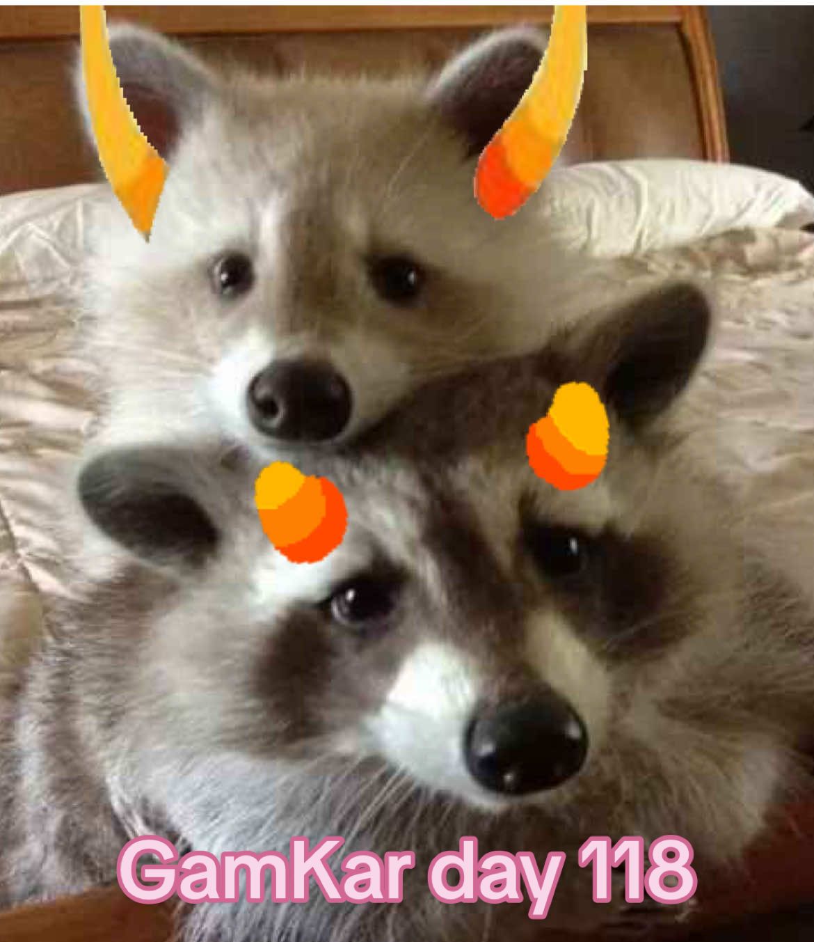 Gamkar Day 118 #gamkat #gamkar #gamzeemakara #karkatvantas #homestuck #davestrider #onesidedlove 