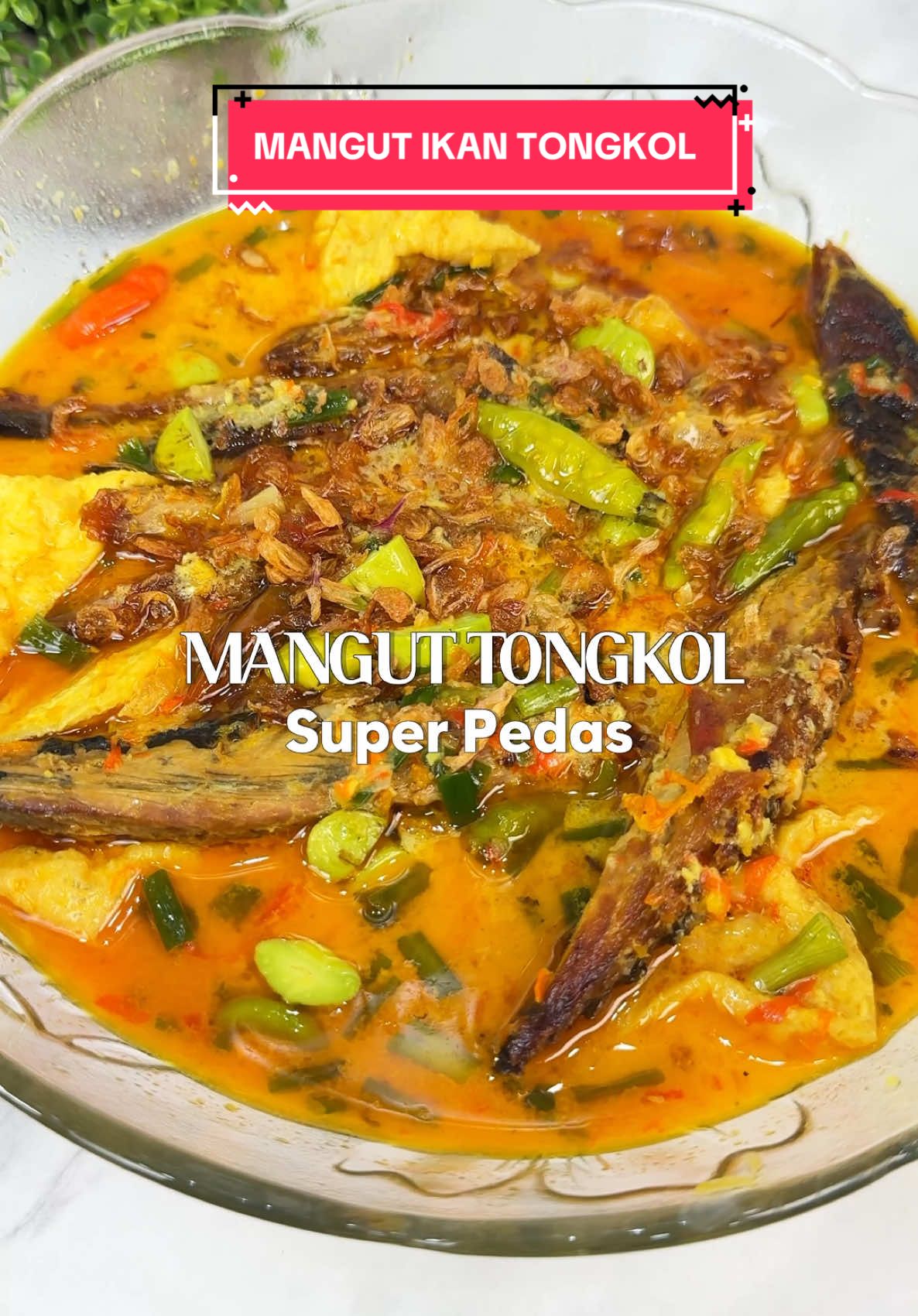 Mangut ikan tongkol, Setelah kemarin bikin versi ayam pedas, nih aku kasih versi ikannya 😬 yups mangut ikan tongkol gak tau kenapa kuah santen kalau di pedesin pasti enak 😭🥹 aaa ga ngerti lg, kemarin masak agak banyak buat temen2 pak suami yg kerumah, dan yaaa langsung ludes 🤩 emang se enak ituuu temen temen wajib bikin 🤩 🌶️ RESEP MANGUT IKAN TONGKOL By @mardatillahika -10 slice ikan tongkol -7 potong tahu -1 sachet santan -3 daun jeruk -1 lengkuas -garam gula penyedap Bumbu mangut -10 siung bawang merah -8 siung bawang putih -1 ruas kunyit -1 ruas jahe -1 ruas kencur -3 kemiri -20 cabe rawit -2 cabe merah besar -daun bawang -pete -rawit utuh ✏️ cara membuat simak di video yaaa 🍳 All cookware by @idealifeonline_ 📖 aneka resep @idealifeonline.resep Spatula IDEALIFE IL 172 A ✨ 23 pcs ✨ high quality ✨ tahan panas ✨ FDA Approved ✨ elegant design ✅ Wok Pan IDEALIFE IL 28 ✨ German technology ✨ non stick ✨ Marble design coating ✨ less oil ✨ lapisan 6 layer pan berkualitas ✨ free tutup dan spatula #manguttongkol #mangutikantongkol #resepmangutikan #mangutlele #mangutikanasap #mangutikantongkolasappedas #mangutpedas #menuharian #menurumahan #idemenuseharihari #masakanrumah #masakanrumahan #masaksimple #masakanindonesia