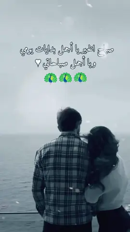 صباح الخير يا عنيدتي الجميلة 🌹  #اجمل_عبارات_الحب  #حب #عشق #المرأة #المانيا #حبيبتي  #حبيبي #عاشق #صباح_الخير #عاشق #العراق #اغاني_عراقيه  #follow #اغاني_عربيه #اغاني #سوريا #fyp #السعودية #امارات #دبي #مصر  #deutschland #fashion #fashiontiktok #mode #bekleidung #amazon #model #aliexpress #shein #TikTokBeauty #beauty  #foryou #loveyou #xanke  #ezidi #duhok #zaxo  #kurdistan #lalish #viral  #khanke #yeziden #berlin  #hamburg #münchen #köln #nrw  #bayern #sachsen  #frankfurt #essen #deutsch  #hannover #dortmund #stuttgart  #kurdistan #homburg #rheine  #düsseldorf #krefeld #lehrte  #nordstrand #sylt #bochum  #bottrop #duisburg #kiel #flensburg #heide  #husum #hamm #heidelberg #bielefeld  #minden #schleswigholstein  #schleswig #bremen  #cluppenburg #heidelberg  #rendsburg #hattstedt #celle  #porta #rentrum #osterohrstedt  #schwesing #mildstedt #altona #ostenfeld #leibzig #اكسبلورexplore #erinnerung #اقتباسات #fouryou 