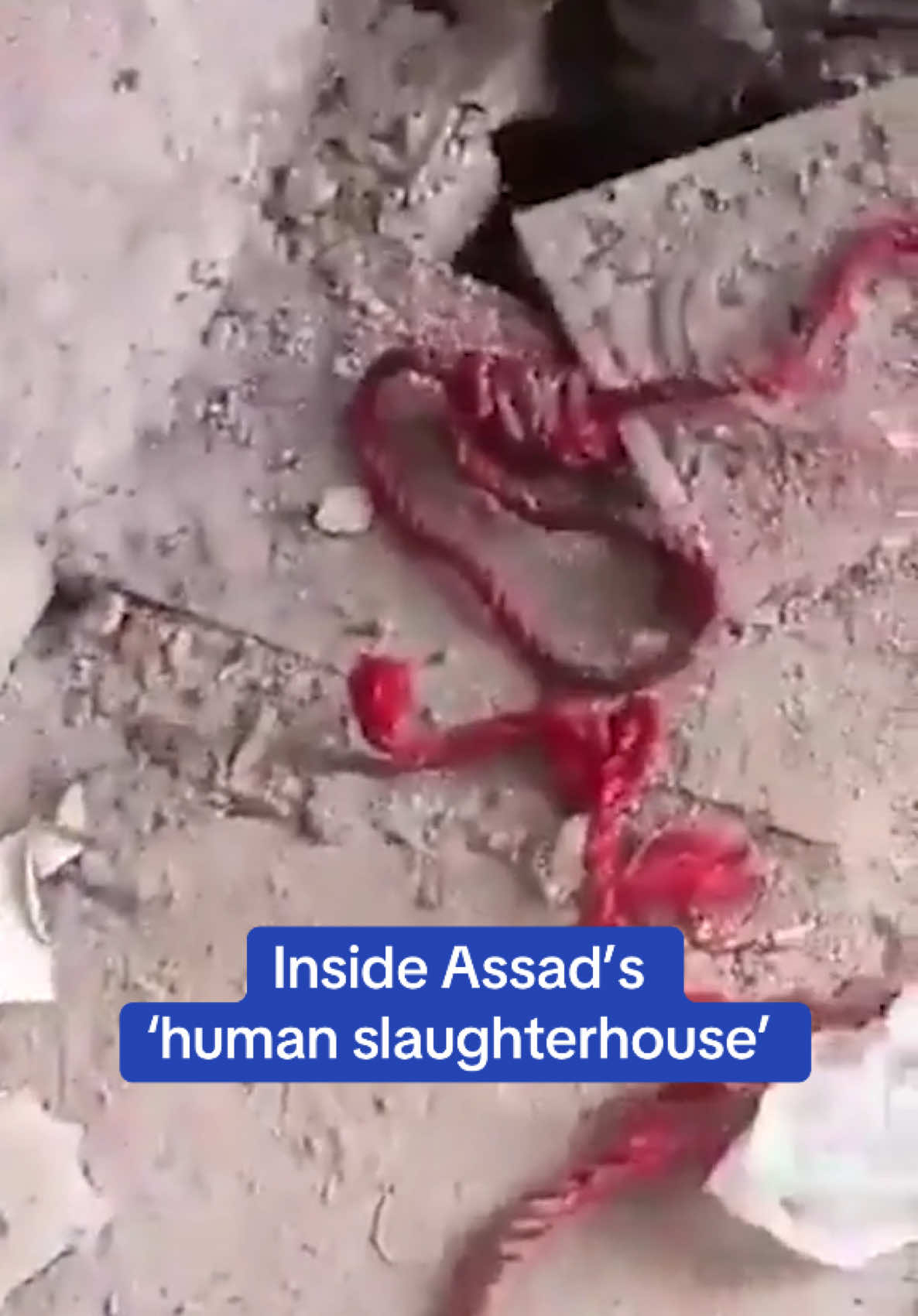 WARNING: the following video contains upsetting images. An 'iron press' that was allegedly used to crush and execute prisoners in Syrian President Bashar al-Assad's infamous Saydnaya Prison has been revealed in new videos shared by rebels as they liberate inmates. The notorious prison near Damascus - nicknamed the 'Human Slaughterhouse' - is synonymous with heinous torture, executions and human rights abuses carried out by the Assad regime, which was toppled by Syrian rebel forces this weekend. Amnesty International claims dozens of people were secretly executed every week in Saydnaya, estimating that up to 13,000 Syrians were killed between 2011 and 2016. Footage of what appears to be some kind of large hydraulic press within the prison is yet to be verified, but tales of torture, deprivation, starvation and executions at Saydnaya have been widely documented. Syrian rebels are now locked in a race against time to free thousands of prisoners who are reportedly trapped in secret cells buried deep beneath the jail. Read more on DailyMail.com 