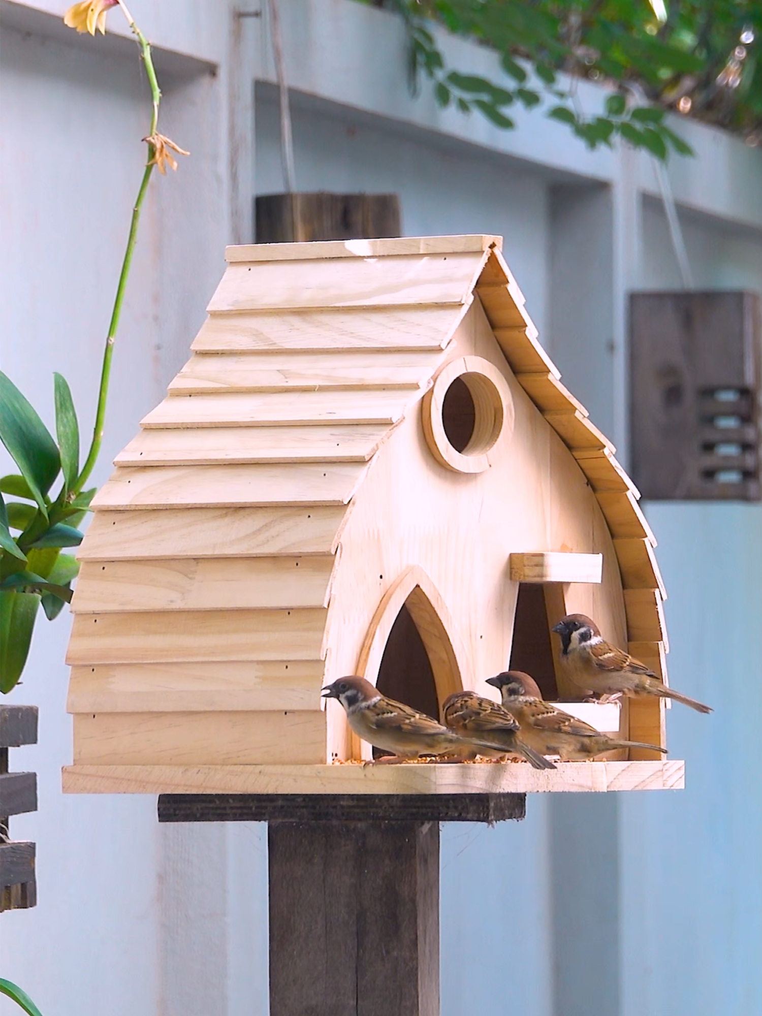 Build Your Dream WOODEN Bird House and Feeder Combo!