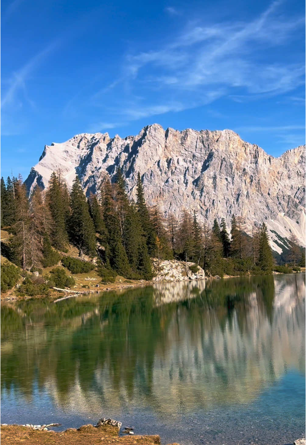 #🤍⛰️🕊️🎶🤍⛰️  #foruyou #travel #foruyou_page #viralfyp #ehrwald #ehrwalderalm #tirol #reutte #reuttetirol #austria🇦🇹 #austria #austriantiktok #tiktokaustria #österreich🇦🇹 #östereich #österreichtiktok #tiktokösterreich #tiktokösterreich🇦🇹 #seebensee #alpenliebe #bergsee 