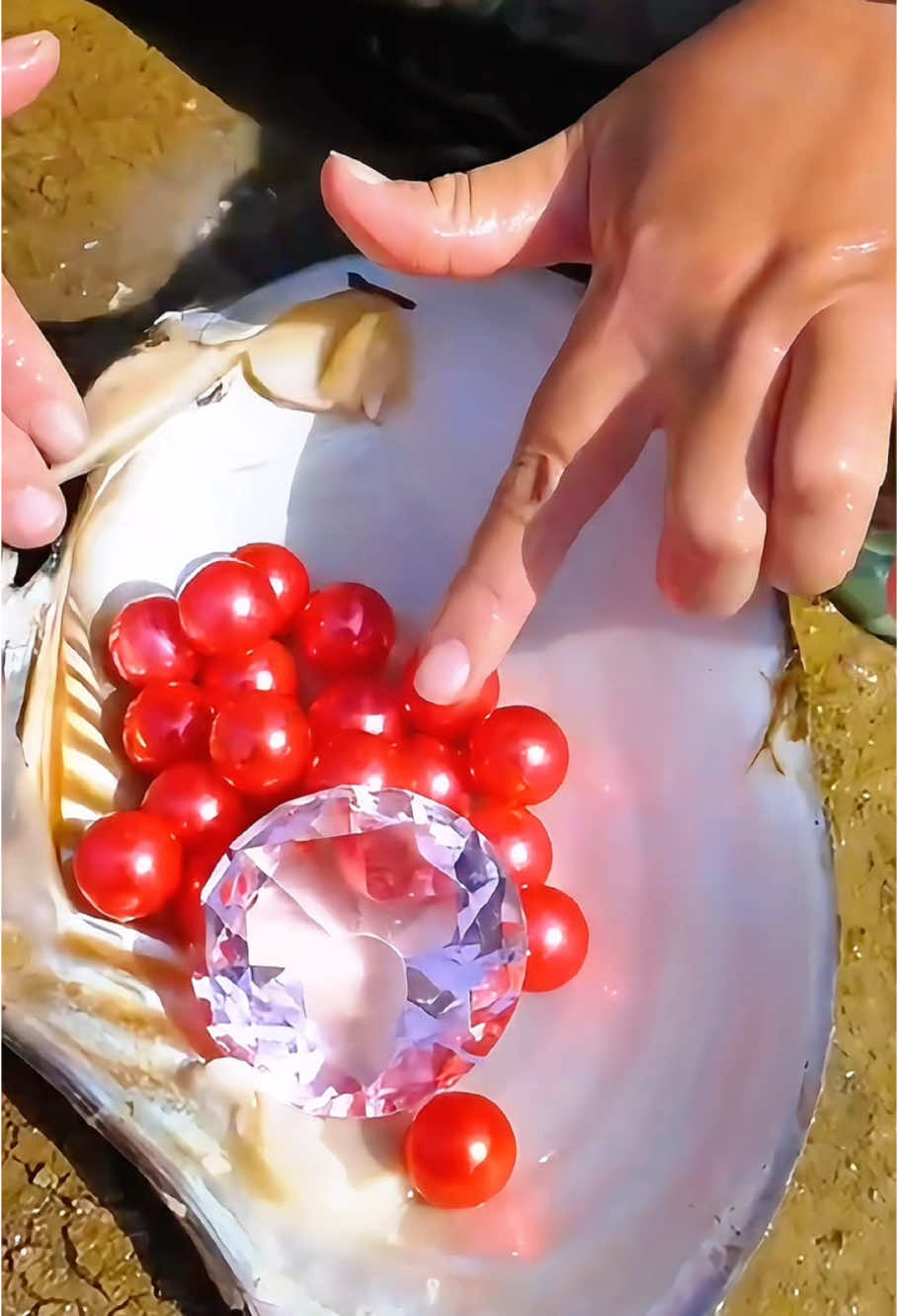 😱🎁🎁When I pried open the giant clam, it was filled with intoxicating pearls, each one priceless #pearl #pearlhunter #seafood #jewelry #pickingpearls #huntingpearl #fyp #foryou #tiktok 