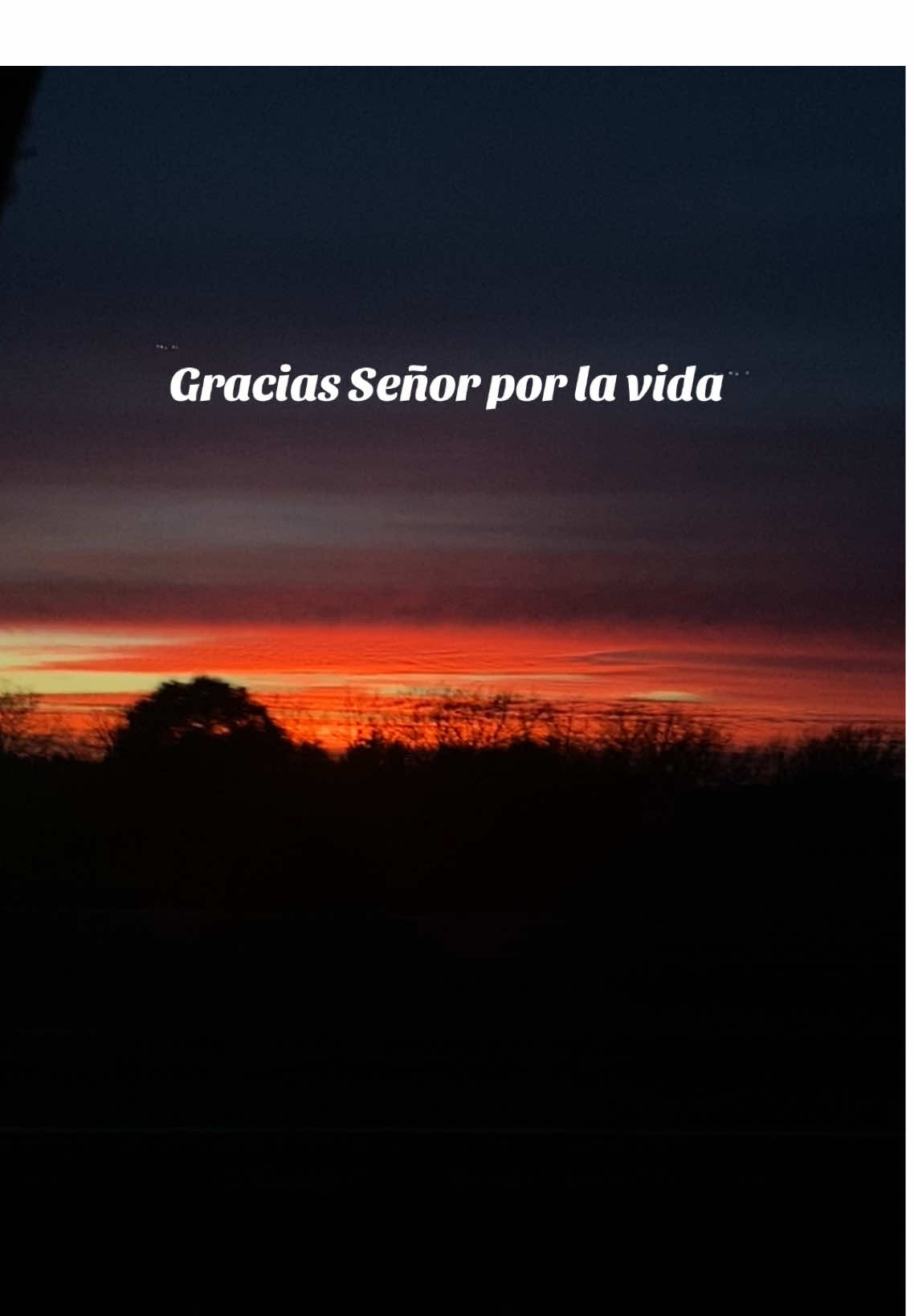 Gracias Señor ✨ agradecida con mi Señor Jesús por que hasta aqui Él me ha guardado y sé que este 2025 será de gran bendición  . #creatorsearchinsights #findeaño #paratiiiiiiiiiiiiiiiiiiiiiiiiiiiiiii #iglesia #diosesfiel #2025condios #diosesamor #dios #hijadedios #hagamosviralajesus 