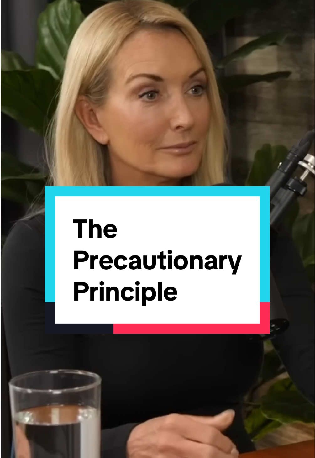 The Precautionary Principle.. How the US differs from Europe in regards to regulatory bodies and how they deal with potentially safe and unsafe products
