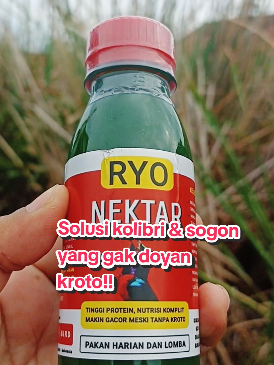 Nektar pengganti kroto.. tanpa kroto tetap gacor!! #ryonektar #nektar #nektarburung #nektarsogon #nektarkolibri #nektarkonin #kolibrininjaindonesia #sogonmania #pakanburung #koningacor #nektarmurah #wibgajian #megaguncang1212 #promoguncang1212 #gilagilajualan #cuantanpabatas #kicaumania #burungpemakanmadu