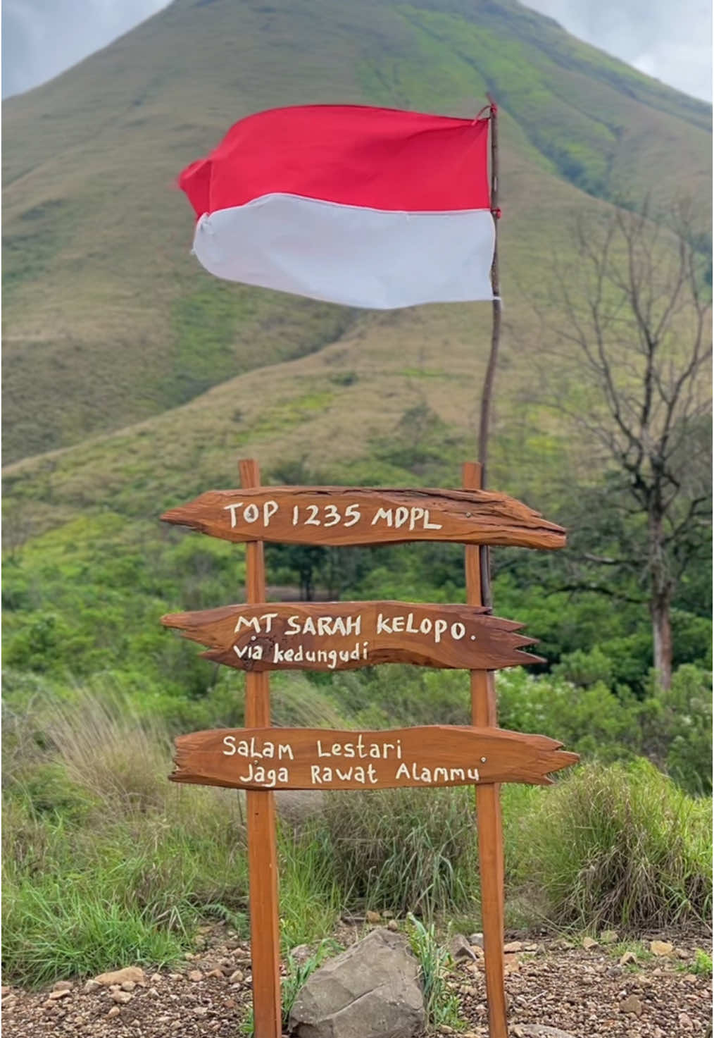 Cukup sekian infonya dan terimakasih #pendakiindonesia #sarahklopo1235mdpl 