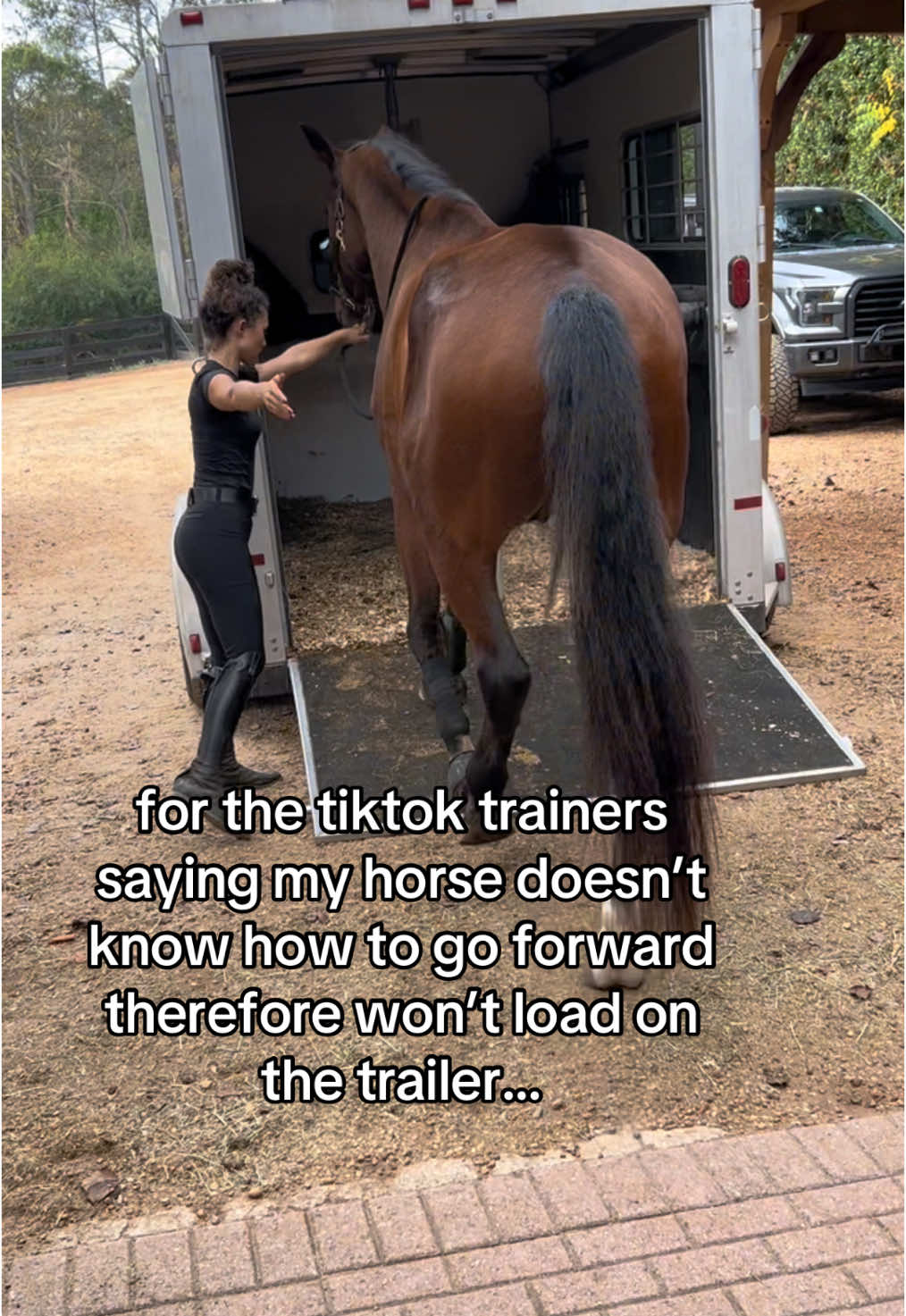 being scared and being stubborn are very different 🤷‍♀️ #fyppppppppppppppppppppppp #fyp #fypシ゚viral #viraltiktok #horse #giant4yearold #viral #horsetok #equestrian #horses 