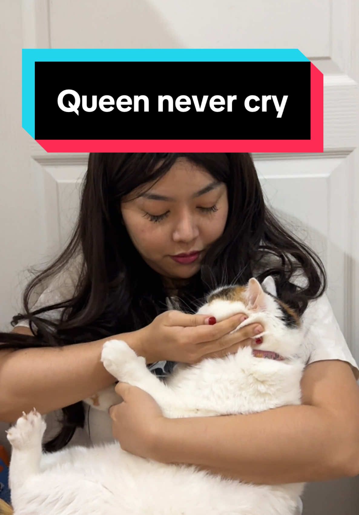 Queen never cry 😏 #มูมินแมวเหนียง #แมวน่ารัก #แมวอ้วน #แมวตลก #สวนสัตว์tiktok #cat #catsoftiktok #queennevercry 