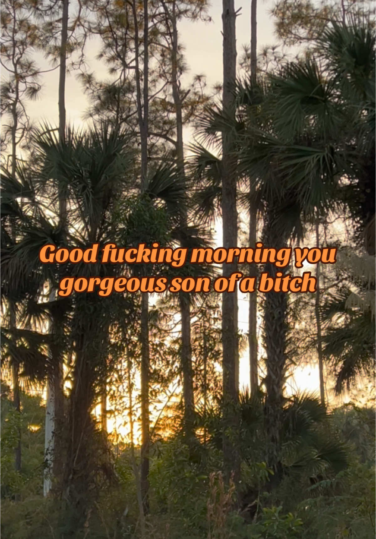 #goodmorning #florida #fyp #foryou #todaysaffirmation #dailyaffirmations #mindset #mood #dailymantras #motivation #funny #humor #sarcasm #monday 