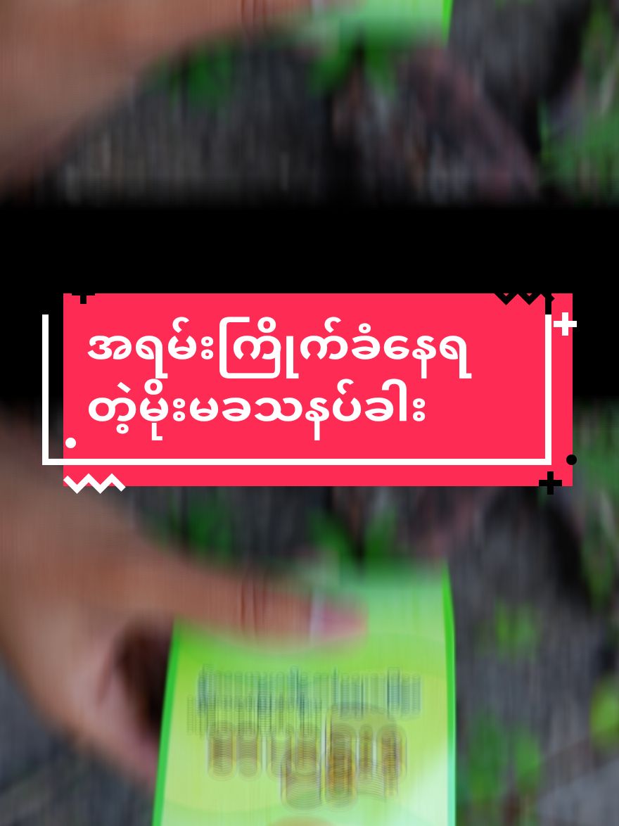 Replying to @khaing986643663 ဝါညက်အိစက်မွှေးကြိုင်နေတာပဲတဲ့😲😲#ဝက်ခြံပျောက်ခြင်သူများ #အဆီဖု #ကြာဆူးပျောက်ချင်သူများအတွက် #အသားဖြူချင်သူများအတွက် #သက်ဦးစံရှင်မတောင်သနပ်ခါးယဉ်ကျေးမှု #စွန့်ဦးတီထွင်ဆုရထုတ်ကုန် #မိုးမခကော်လဂျင်သနပ်ခါး 