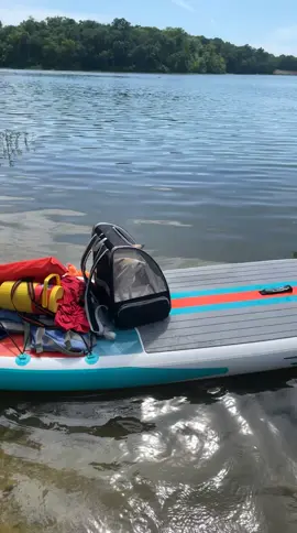 Throwback #bedu #paddleboard #swim #lake #happy #animals #fennecfox #play 