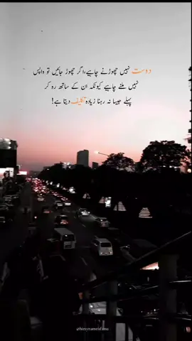 دوست کا چھوڑنا بہت تکلیف دیتا ہے#poetrystatus #astheticvideos #foryou #trendy #nimraahmednovels #nimraahmednovelsquotes 