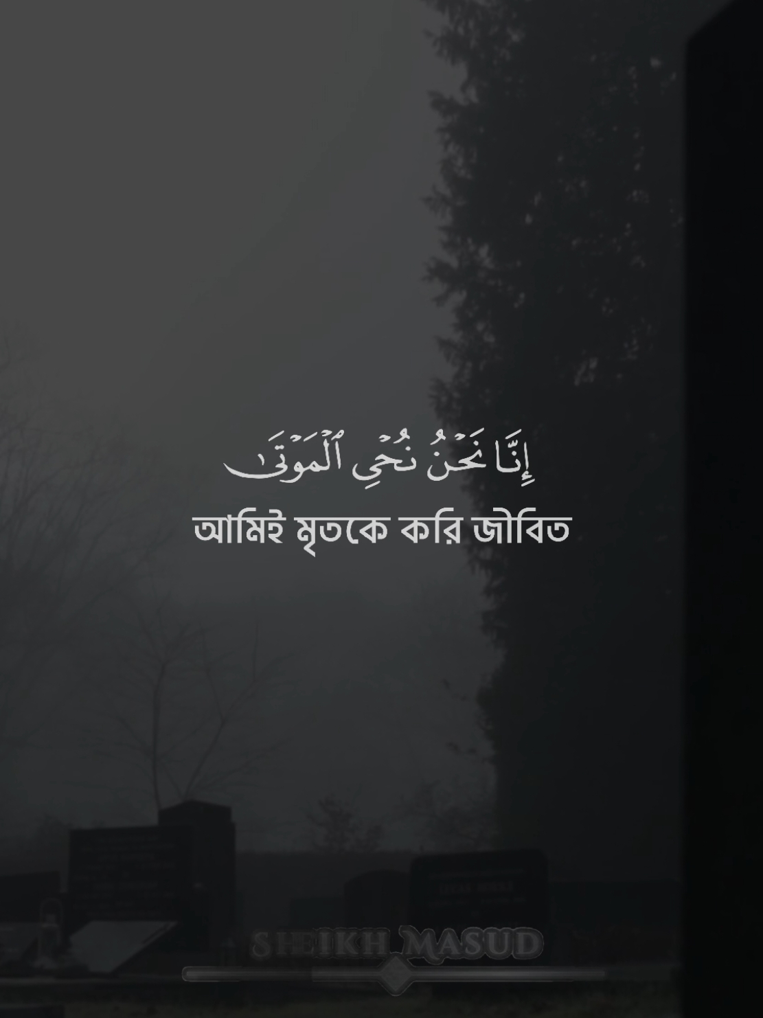 সূরা ইয়াসিন আয়াত ১২। #ক্বারী_শেখ_মাসুদ  #কুরআনের_প্রেমিকরা_কোথায়?🤗  #সূরা_ইয়াসিন #কুরআন_তেলাওয়াত #quran #viral #surah 