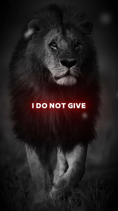 I Do Not Give... . #motivation #usa #usa_tiktok #unfreezemyaccount #listentothiseveryday #growbeyoundyourlimits #yourblessingiscoming #quotesoftheday #fyp #motivationalquotes #inspirationalquotes #motivationalspeeches #bravemind #stoicism #mindset #quotes #inspiration #peakmotivation 