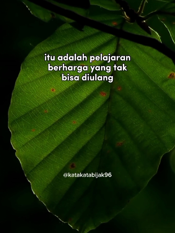 masalalu adalah pelajaran berharga yang tak bisa diulang . kata kata sedih menyentuh hati . kata kata sad . kata kata sakit hati . kata kata galau . kata kata sedih . kutipan . puitis #katakatabijak96 #ceritakanlah 