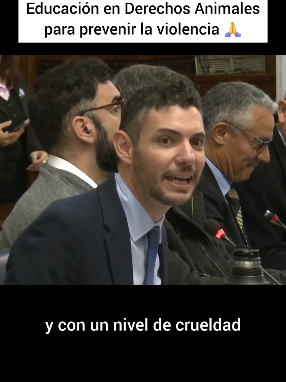 🚩 Para prevenir la violencia necesitamos educación en Derechos Animales en las escuelas! FIRMÁ para que la educación sea ley: ✍️ www.change.org/perrosygatos 📌 Link en nuestro perfil @pmfaunaurbana  Gracias diputado @damianarabia 🥰❤️❤️ #SeraLey💪 #educacion #DerechosAnimales #diputados #senadores #LoAnimalEsPolitico