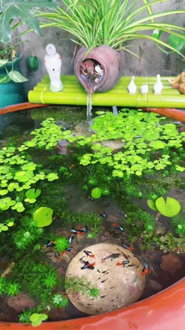🍀🐠 #fyp #xuhuong #bểthuỷsinh #bểthủysinhđẹp #bểthủysinhđẹpdễchơi #nuoica7maungoaitroi #bểcáthuỷsinhđơngiản #nuoicangoaitroi #aquarium #viral #tiktok #xuhuongtiktok ❤️❤️❤️