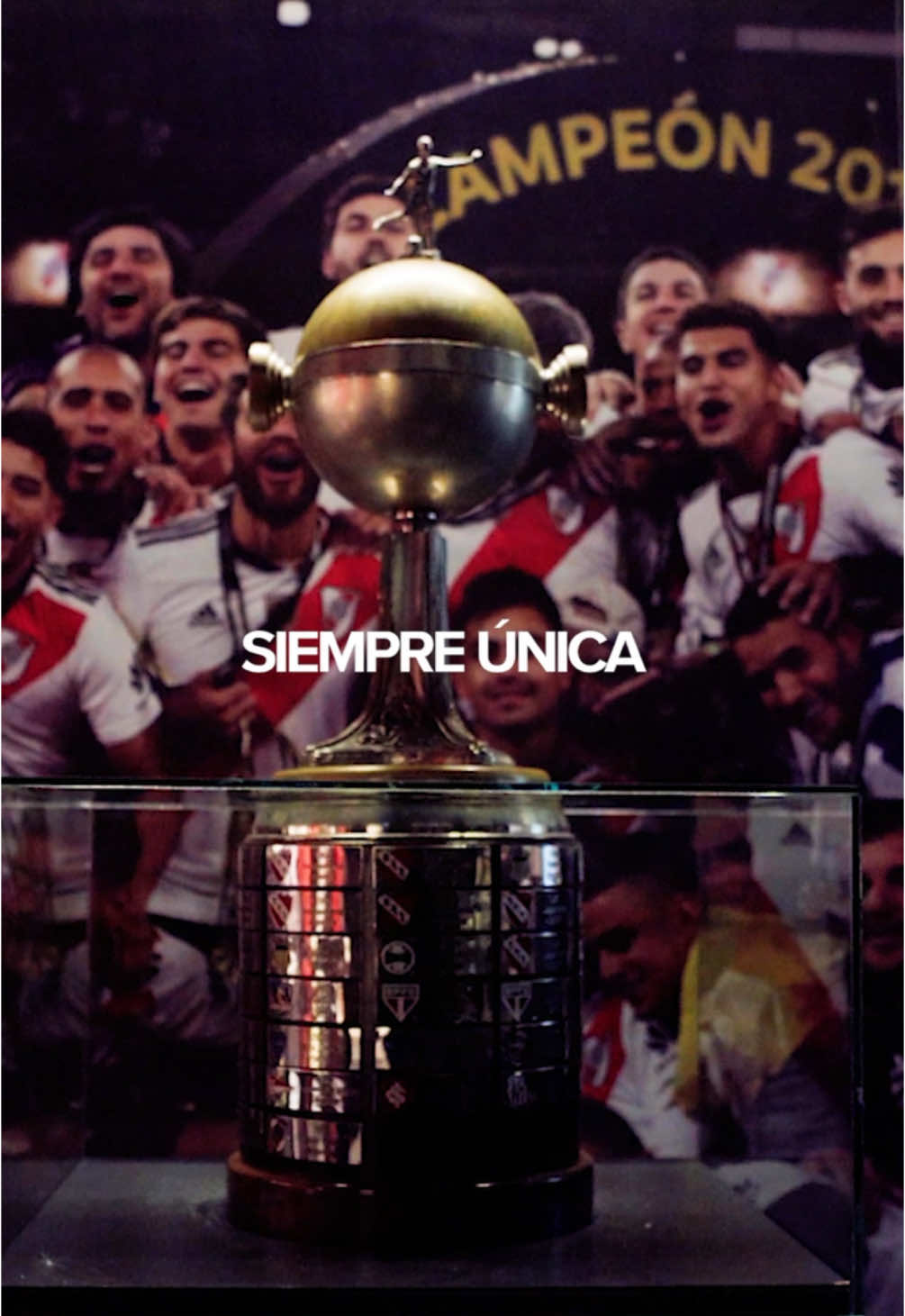 ♾️ LA COPA ETERNA. 🏆 #RiverPlate #TikTokDeportes #RiverVSBoca #CopaLibertadores #Madrid 