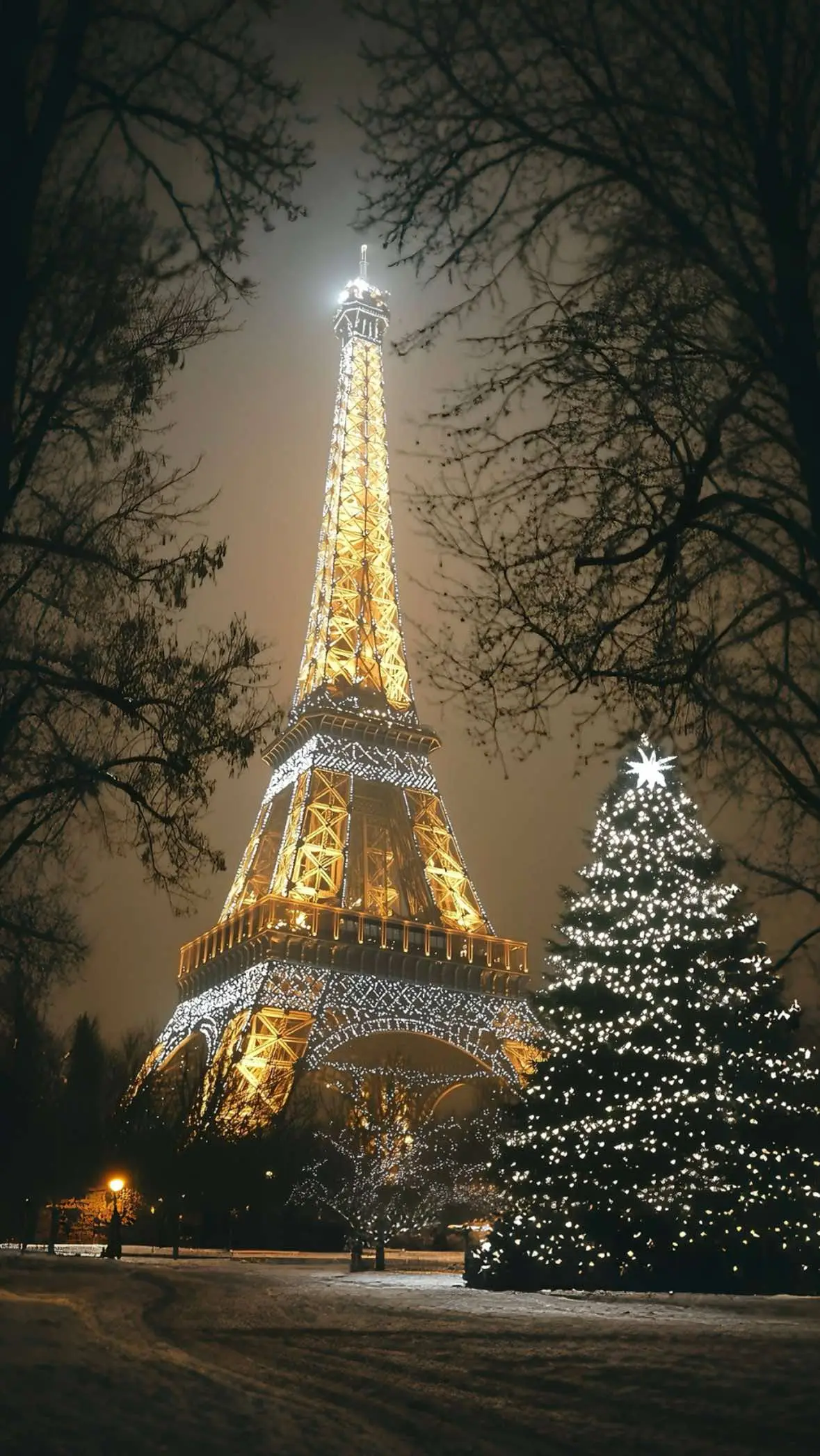 #fyp #foryoupage #travel #explore #cristmas #paris