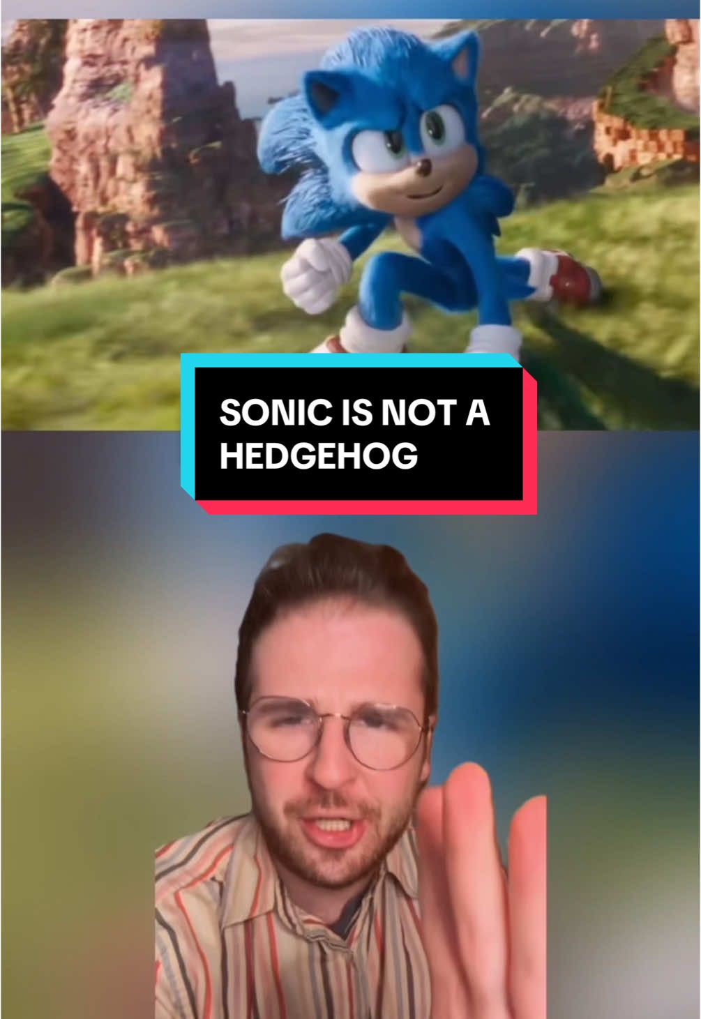 Sonic is NOT a Hedgehog #sonicthehedgehog #sonicmovie #sonicmovie3 #shadowthehedgehog #sega #greenhillzone #knucklestheechidna #tailsthefox #amyrose #movietok #filmtok #videogames #gametok