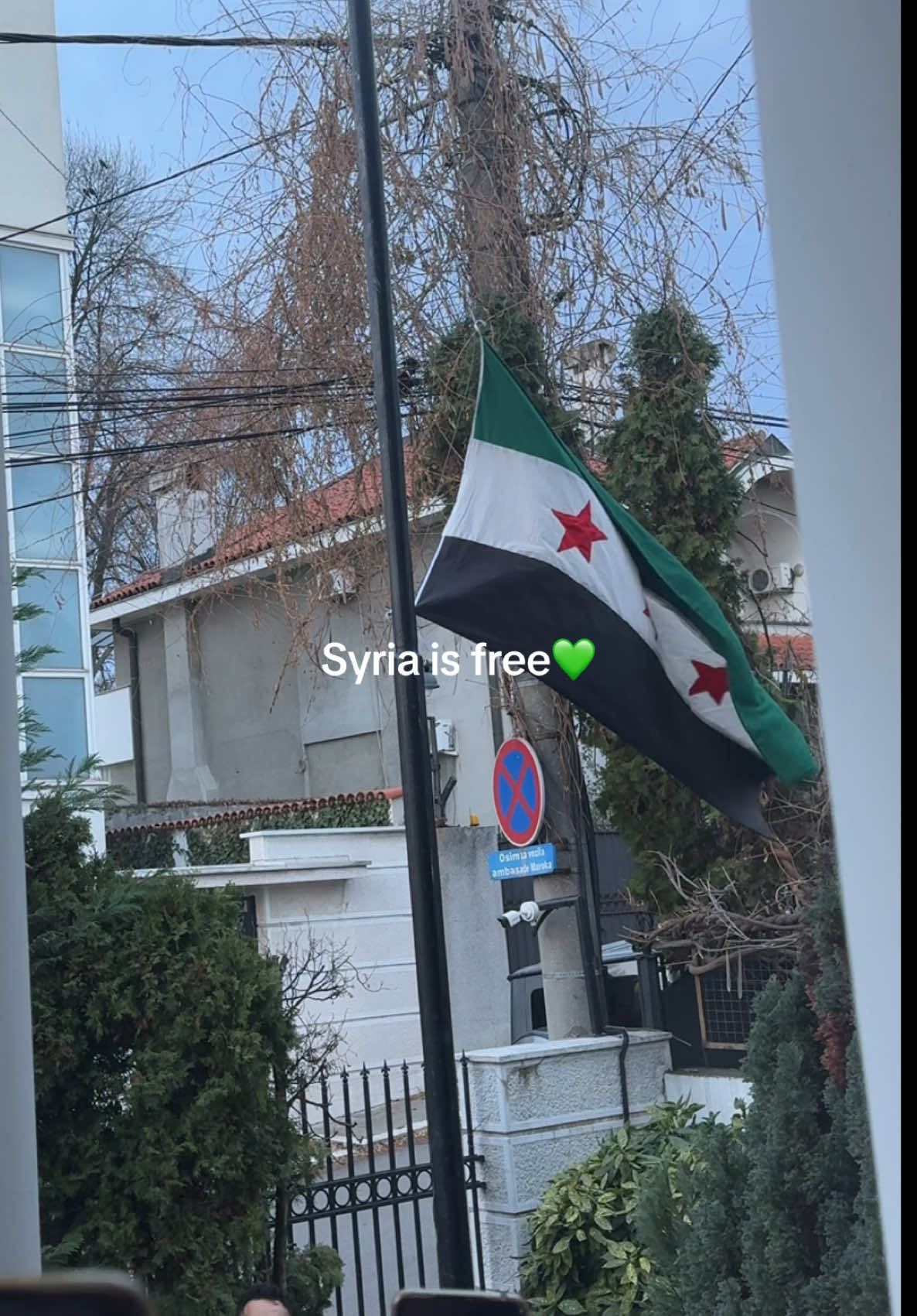 #syria #fyp 