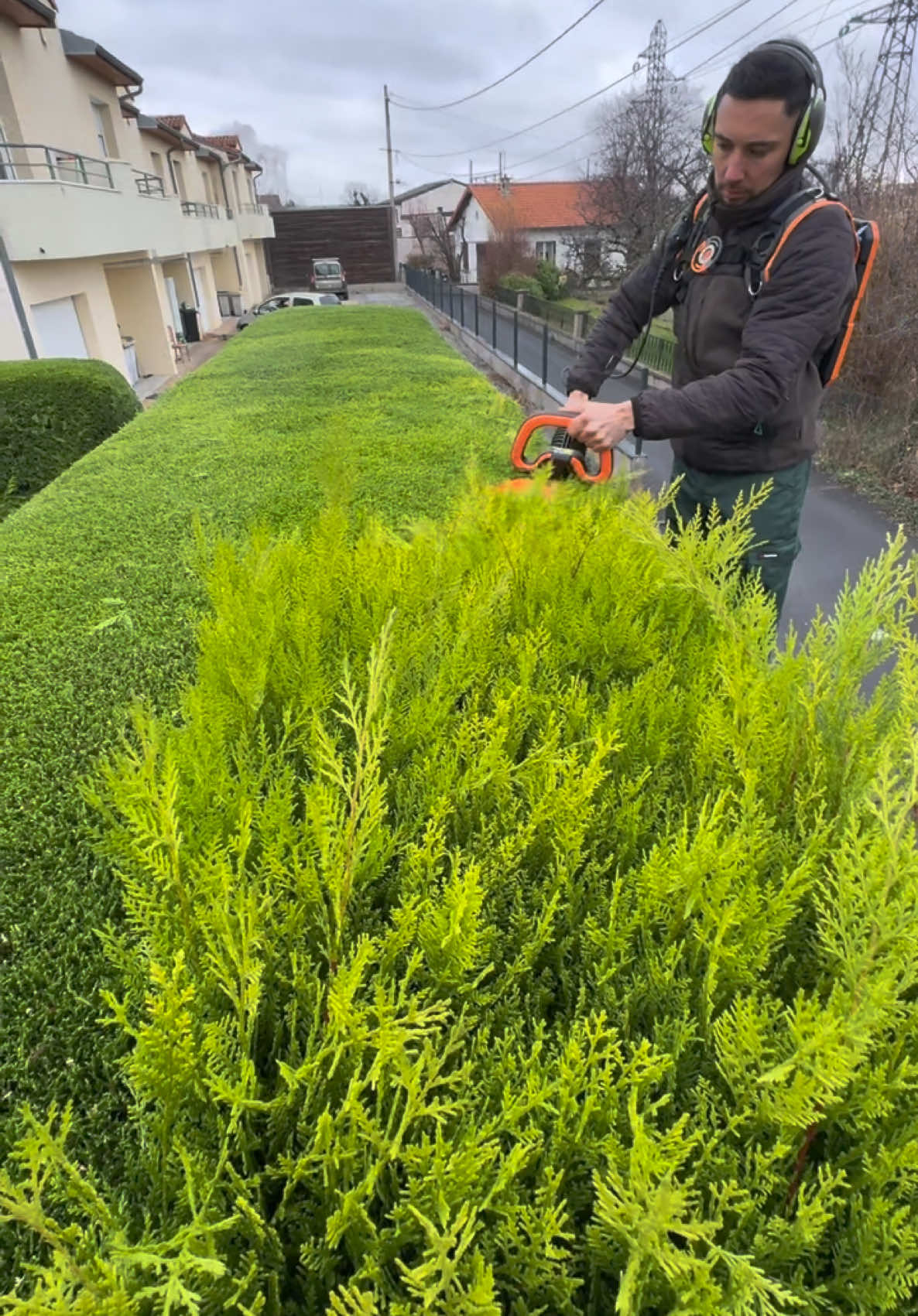 ⚔️ Smooth 💚 #asmr #asmrvideo #satisfyingvideo #satisfaction #smooth #relaxing #relaxingvideos #landscape #garden #jardinier #paysagiste #hedge #trimmer #pellenc #pellencgroup #helion3 #therapy #paysage 