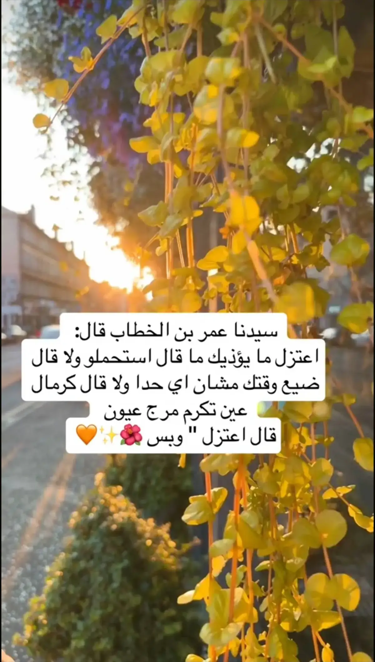 #fypシ゚viral🖤tiktok #مصمم_فيديوهات🎬🎵 #اقتباسات🍂🌹 #مساكم_سعادة_لاتنتهي 