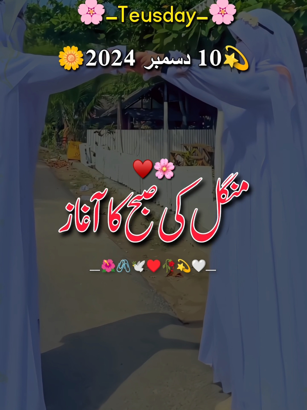 منگل کی صبح مبارک ہو 🥰♥️💯#me #viewsproblem #illu #viral #viralvideo #fyp #foryou #foryoupage #foryoupageofficiall #lovepoetry #urdupoetry #sadpoetry #status #whatsappstatus #lovepoetry #growaccount 