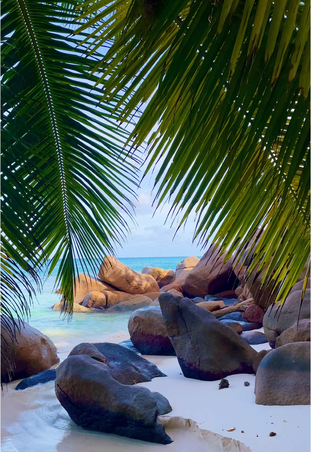 Therapy 😌🌊☀️ #seychelles #seychellestiktok🇸🇨 #ocean #oceantherapy #sound #asmr #oceansounds #tropical #indianocean #praslin #plage #beachlife #paradise #traveltok #beautifuldestinations #luxurytravel #landscape #paysage #detente #frypgシ #fryp #pourtoi 