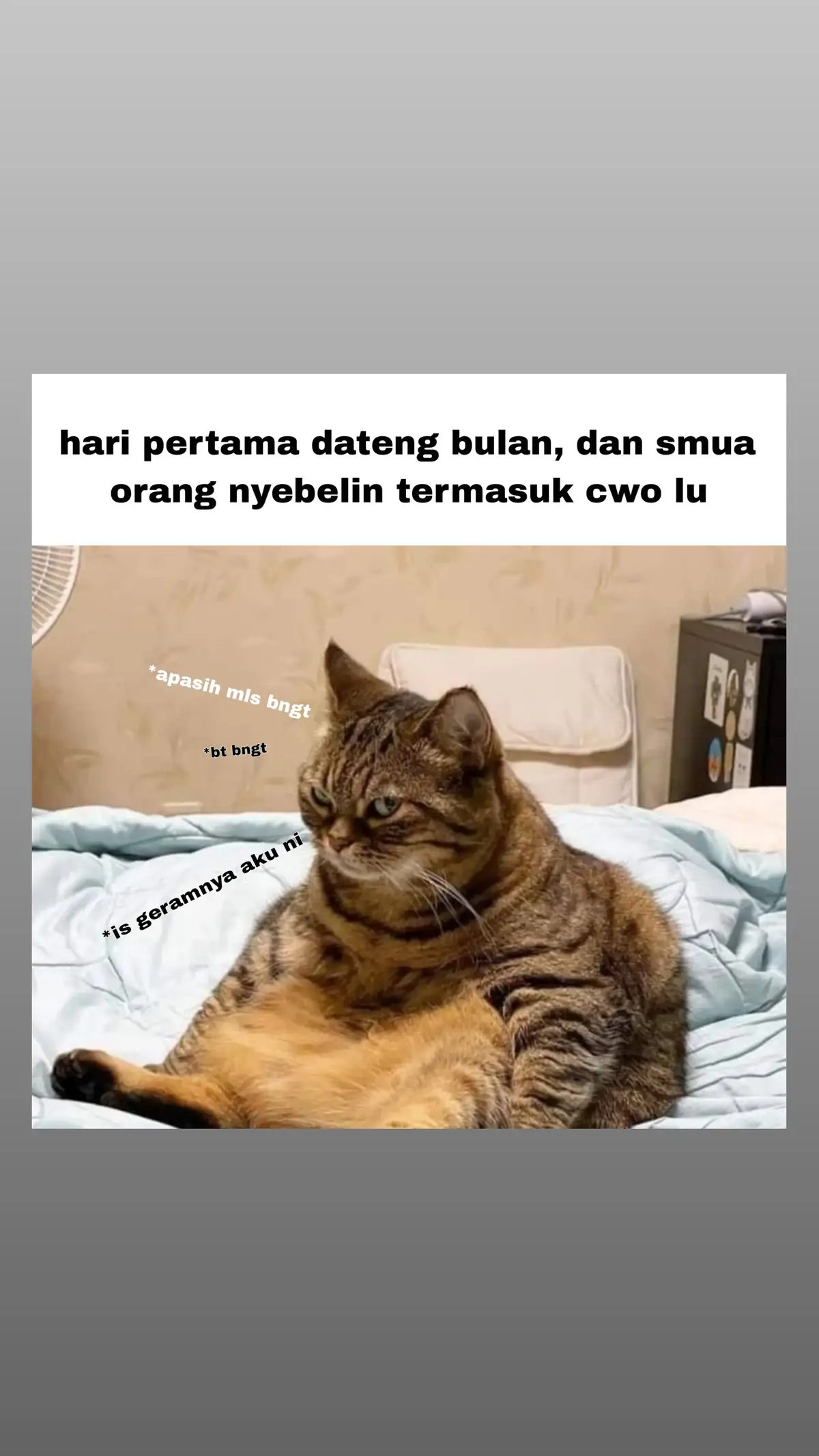 mls . . . . #fyp #kucingtiktok #memestiktok #memes #kucing #meme #kucing #masukberanda #berandatiktok #4u #fypage #fypp #kucinglucu 