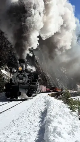 Mixed steam train on the Silverton branch #durangosilvertontrain #durangoandsilvertonnarrowgaugerailroad #railfanning #trainsoftiktok #traintok #trainspotting #railroad #railfan #railfansoftiktok #steamtrain #durango #durangocolorado @DSNGRR 