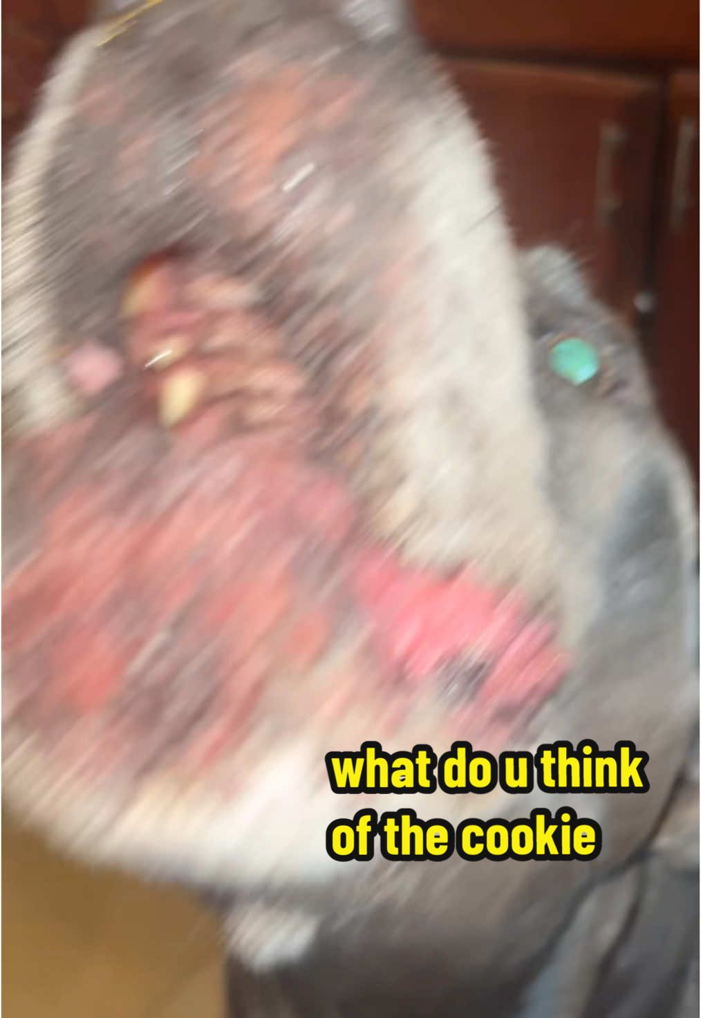 dunkin doesnt like gingerbread i dont think #foryou #foryoupage #viral #dogs #dunkinthedog 