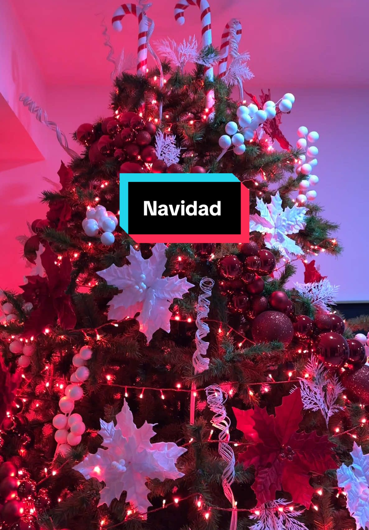Llego la navidad a mi hogar #navidad #santaclaus #regalos #fiesta #amor #familia #magia #paz #dicha #felicidad #evaluna #viral #paratiiiiiiiiiiiiiiiiiiiiiiiiiiiiiii 