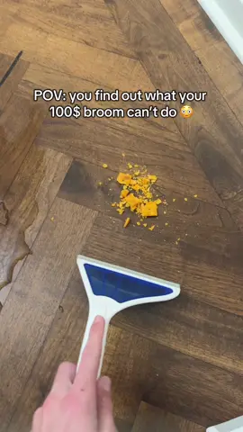 #helloairbroom #petowners #spills #broomstick 