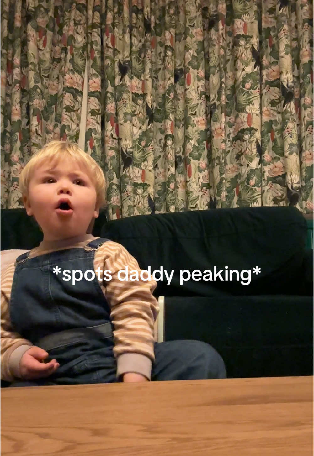 I only filmed this because my mum was saying shed seen people do it and she thought that koazy would eat the chocolate 😅 