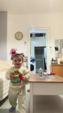 El bollito y el movil 🤣🤣