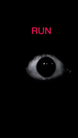 no mires atrás tuyo... 👁️ #perros #nogatos #miedo #noche #terro