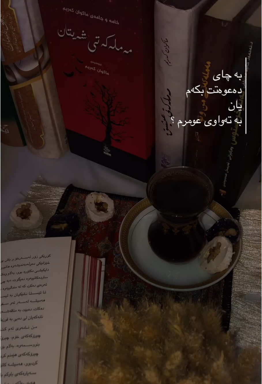 🤎🍂📚 #foryou #viral #fyp #tea #december #bookstore #book #mood #night #فوریو #کتێب #چای #چا #خوێنەر #کتێبفرۆش #هەولێر_سلێمانی_دهۆك_ڕانیه_کەرکوک_زاخۆ 